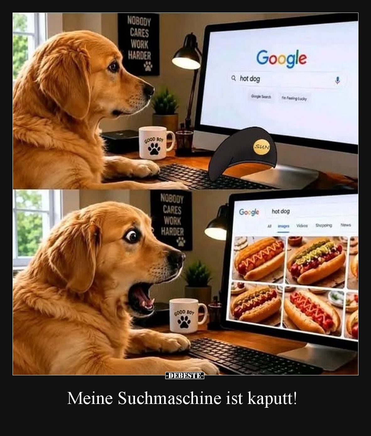 Meine Suchmaschine ist kaputt!