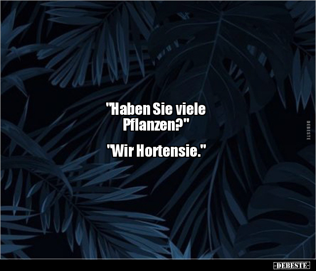 "Haben Sie viele Pflanzen?" "Wir Hortensie.".. - Lustige Bilder | DEBESTE.de