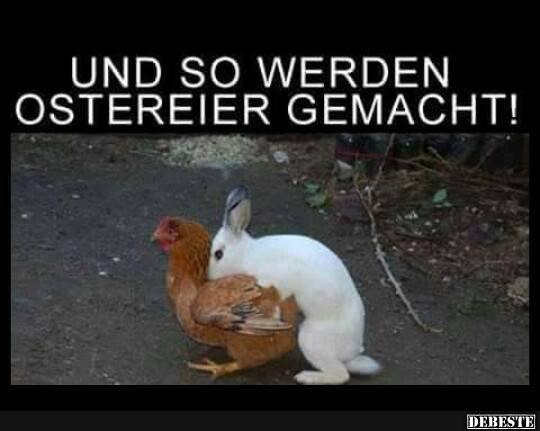 Und so werden Ostereier gemacht! - Lustige Bilder | DEBESTE.de