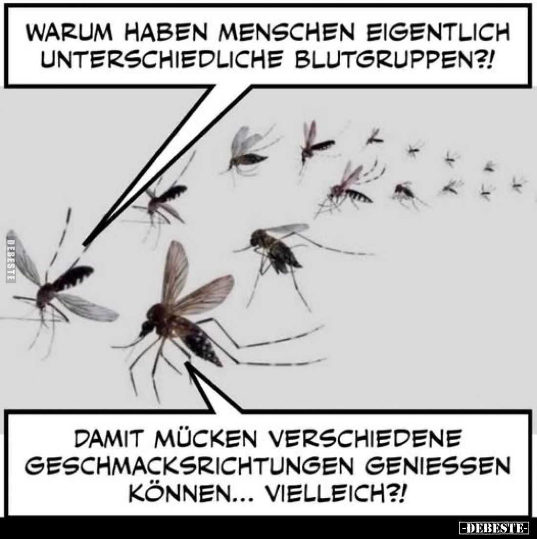 Warum haben Menschen eigentlich unterschiedliche Blutgruppen?!
-
Damit Mücken verschiedene Geschmacksrichtungen genießen kö...