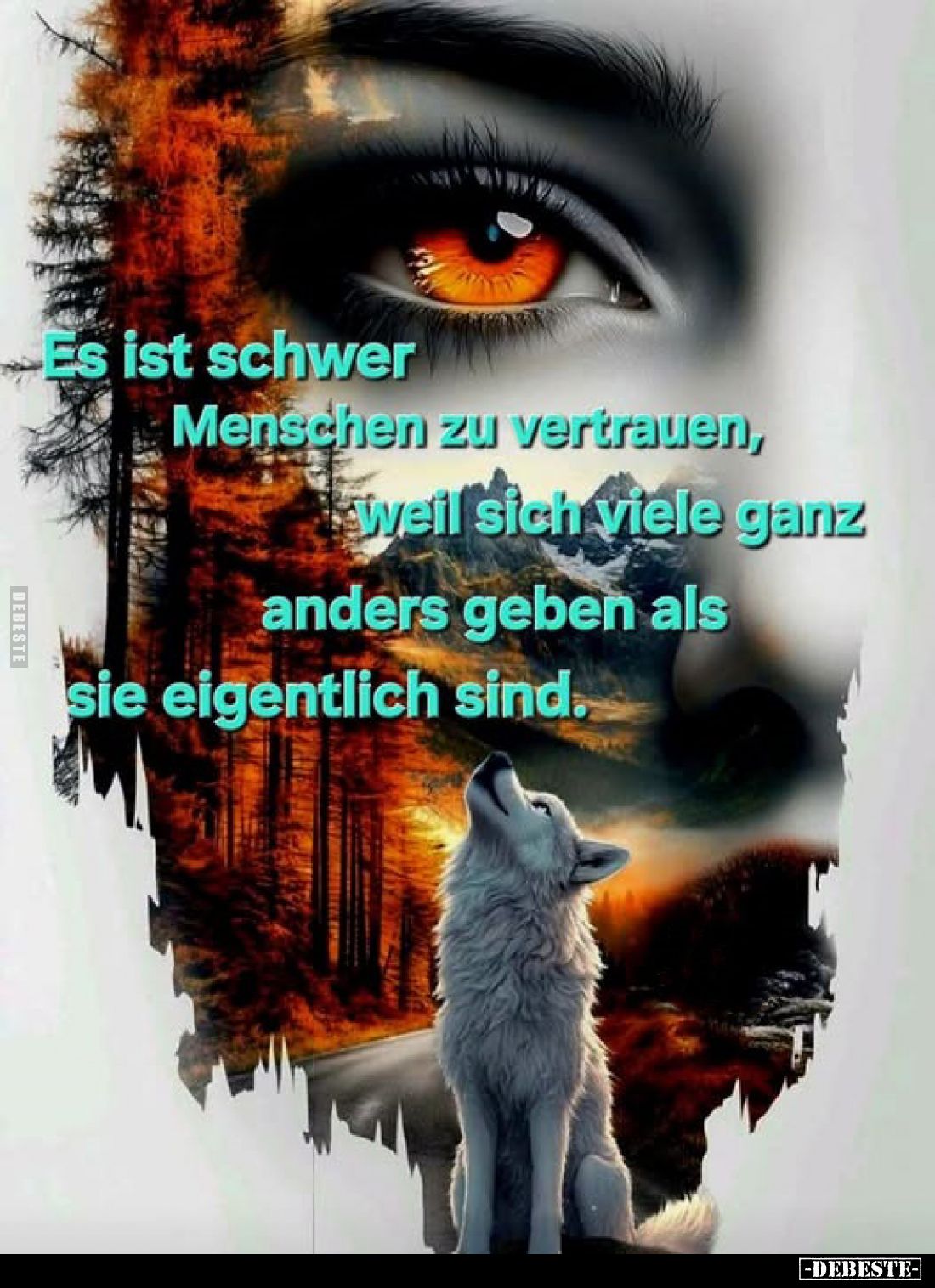 Es ist schwer Menschen zu vertrauen, weil sich viele ganz anders geben als sie eigentlich sind.