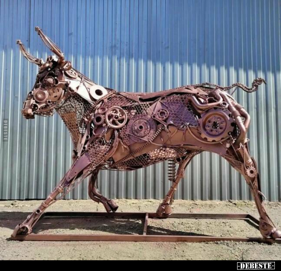  - Lustige Bilder | DEBESTE.de