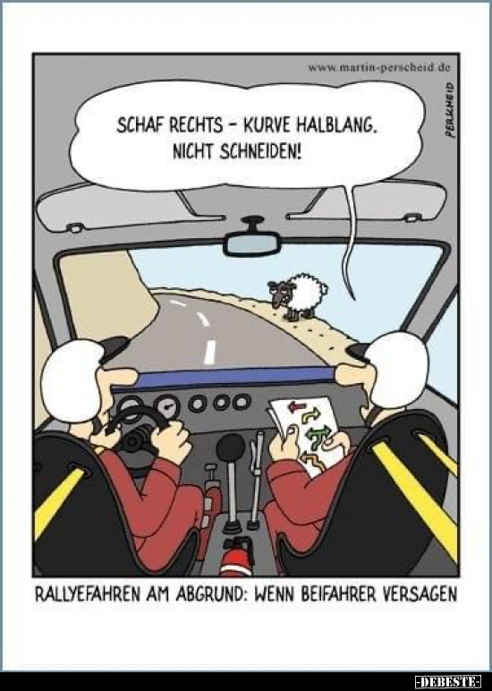 Schaf Rechts-Kurve halblang. Nicht schneiden!..