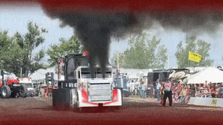 Freut jeden Umweltschützer..