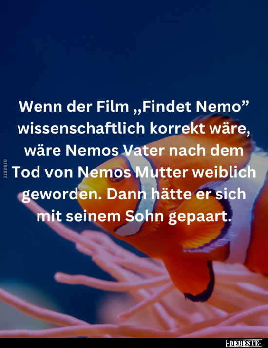 Wenn der Film "Findet Nemo" wissenschaftlich korrekt wäre.. - Lustige Bilder | DEBESTE.de
