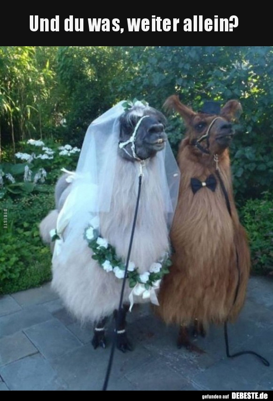 Und du was, weiter allein?..