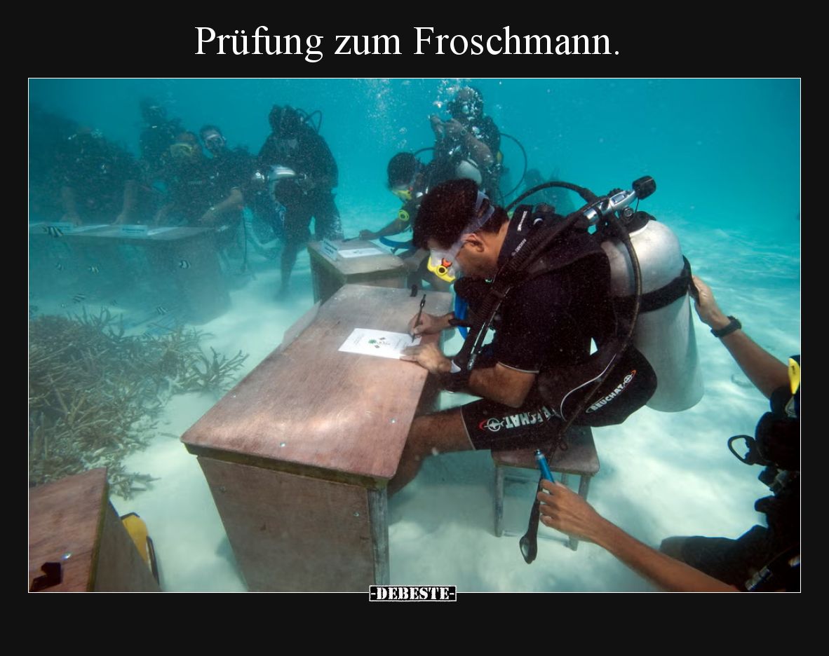 Prüfung zum Froschmann