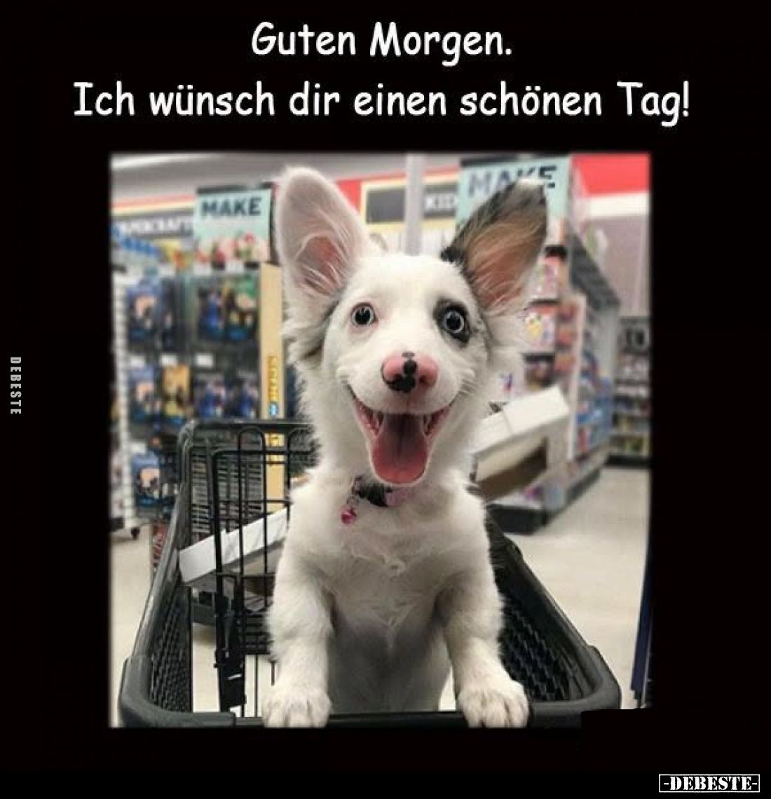  - Lustige Bilder | DEBESTE.de
