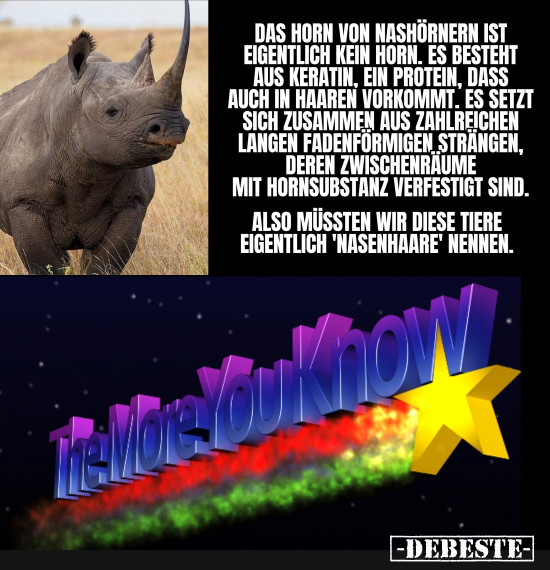 Ich hab sowas mal als Kind gehört und den Fakt extra noch mal geprüft. - Lustige Bilder | DEBESTE.de