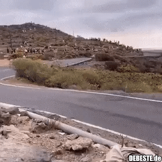 Wo? Hier? Achso hier, und hier?