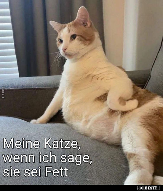 Meine Katze, wenn ich sage, sie sei Fett.. - Lustige Bilder | DEBESTE.de