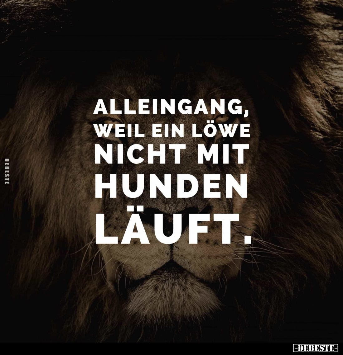 Alleingang,
weil ein Löwe
nicht mit
Hunden
läuft.