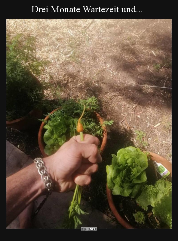 Drei Monate Wartezeit und...