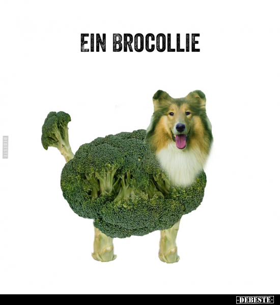 Ein Brocollie... - Lustige Bilder | DEBESTE.de