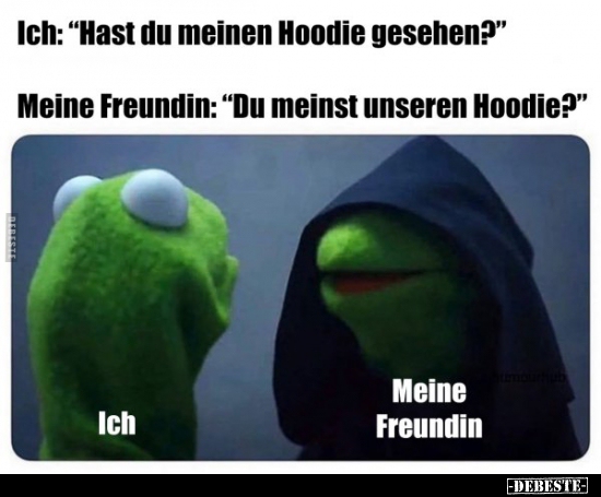 Ich: "Hast du meinen Hoodie gesehen?"