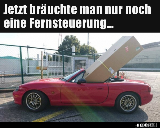 Jetzt bräuchte man nur noch eine Fernsteuerung... - Lustige Bilder | DEBESTE.de