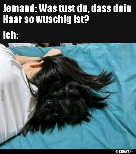 Jemand: Was tust du, dass dein Haar so wuschig.. - Lustige Bilder | DEBESTE.de