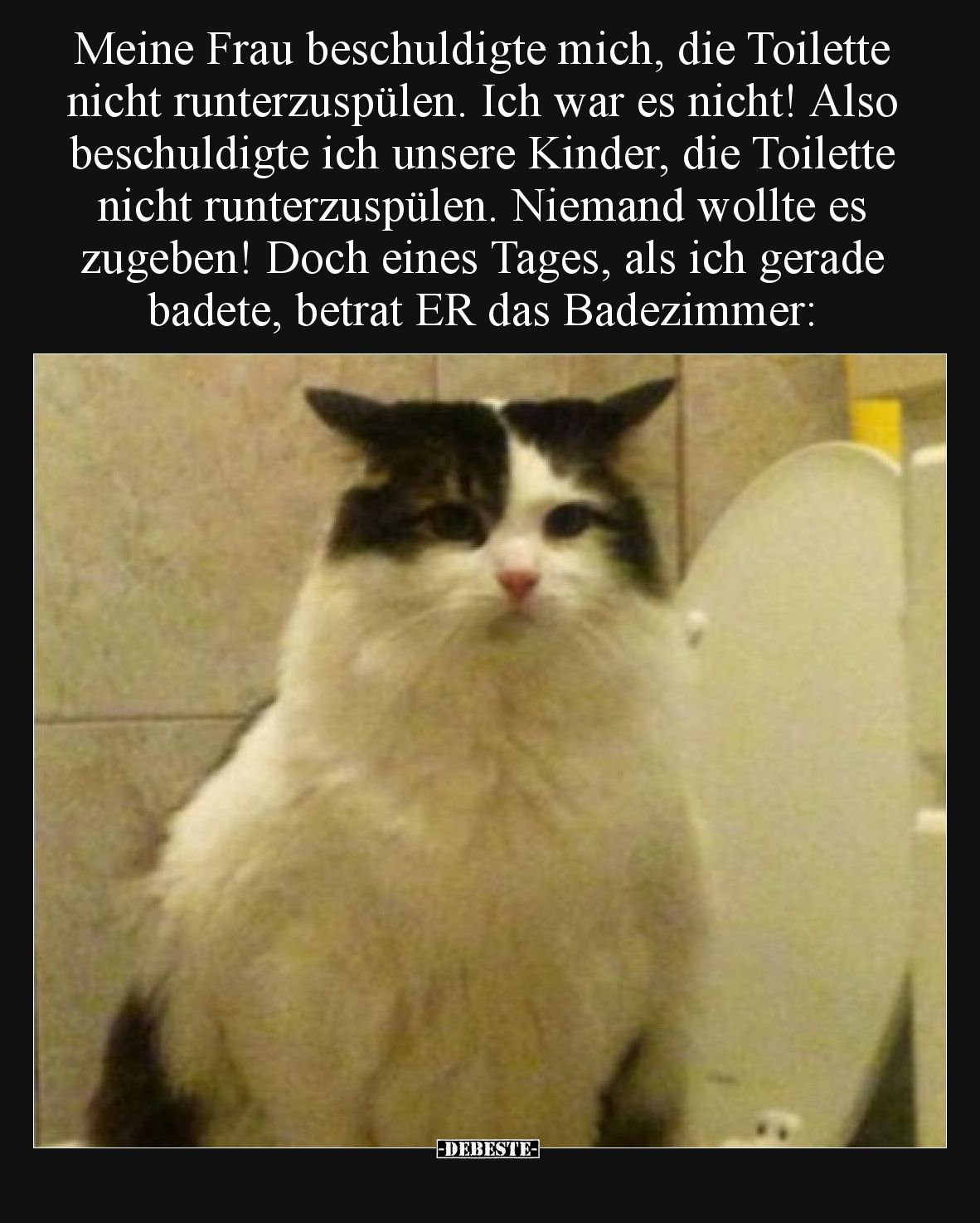 Meine Frau beschuldigte mich, die Toilette nicht.. - Lustige Bilder | DEBESTE.de