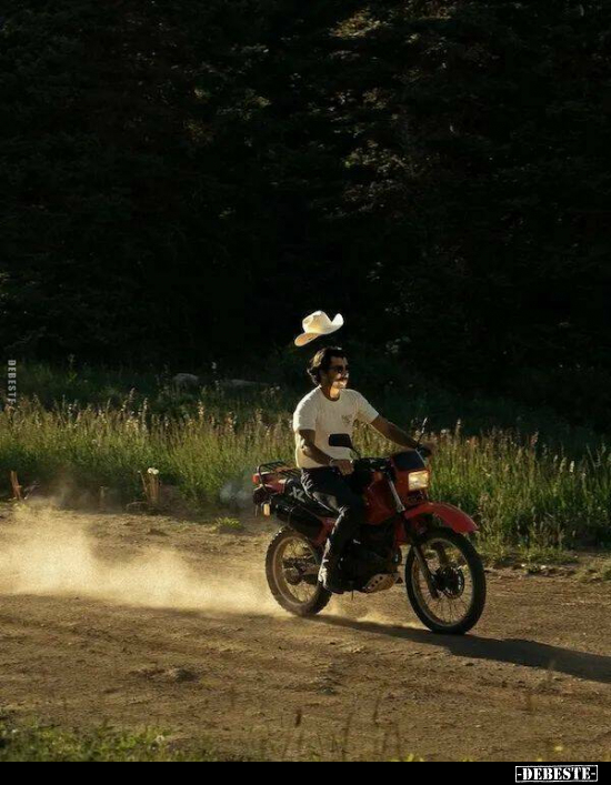  - Lustige Bilder | DEBESTE.de