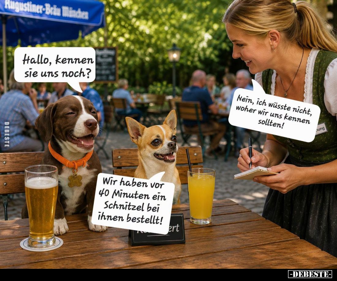 Hallo, kennen sie uns noch?
-
Nein, ich wüsste nicht, woher wir uns kennen sollten!
-
Wir haben vor 40 Minuten ein Schnit...