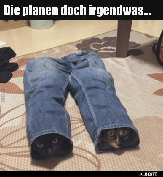Die planen doch irgendwas...
