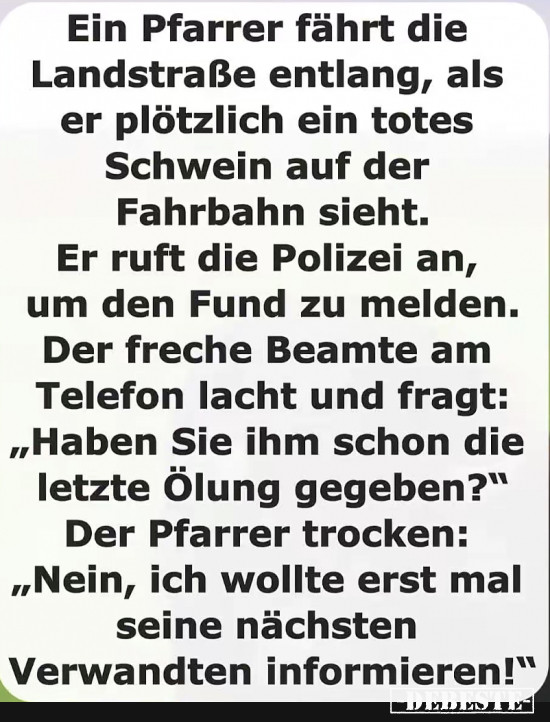 Totes Schwein - Lustige Bilder | DEBESTE.de