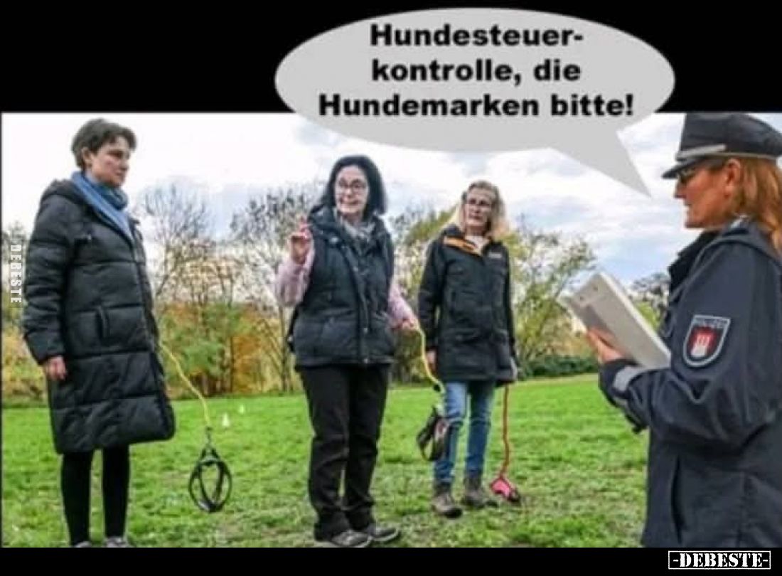 Hundesteuerkontrolle, die Hundemarken bitte!