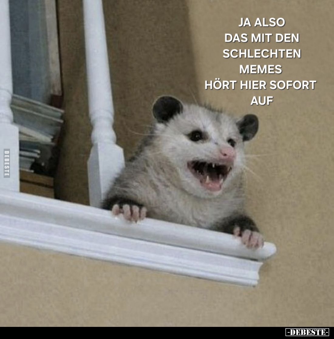 Ja also das mit den schlechten Memes hört hier sofort auf.