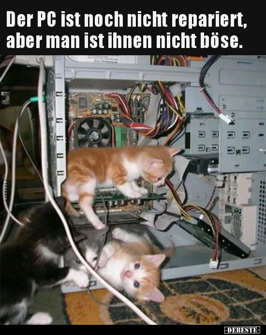 Der PC ist noch nicht repariert, aber man ist ihnen nicht.. - Lustige Bilder | DEBESTE.de