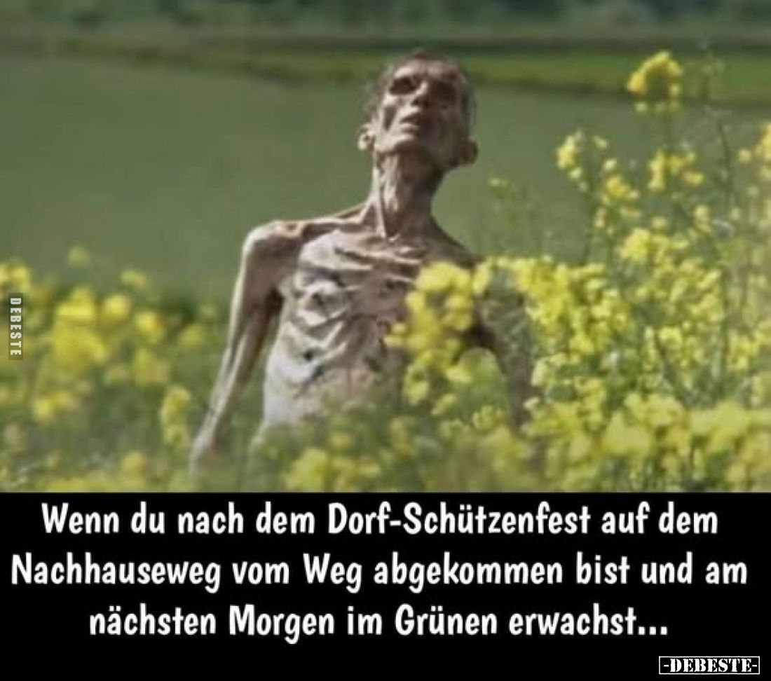 Wenn du nach dem Dorf-Schützenfest auf dem Nachhauseweg vom Weg abgekommen bist und am nächsten Morgen im Grünen erwachst...