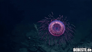  - Lustige Bilder | DEBESTE.de