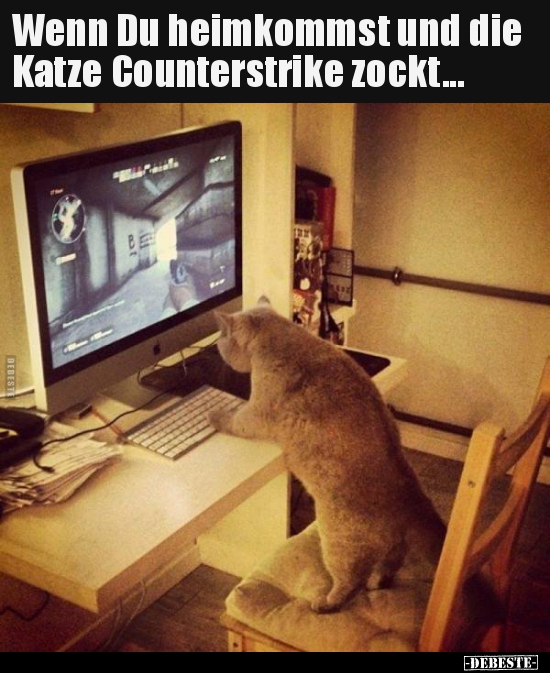 Wenn Du heimkommst und die Katze Counterstrike zockt... - Lustige Bilder | DEBESTE.de