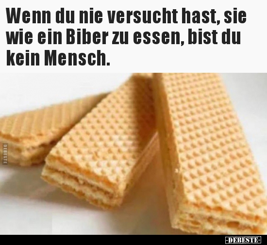 Wenn du nie versucht hast, sie wie ein Biber zu essen, bist..