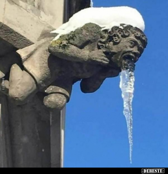  - Lustige Bilder | DEBESTE.de