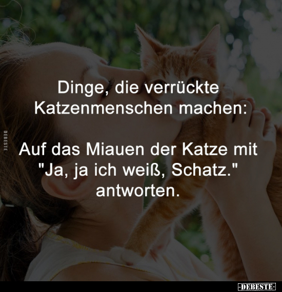 Verrückte, Machen, Katzen, Katze