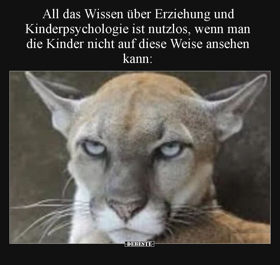 All das Wissen über Erziehung und Kinderpsychologie ist nutzlos, wenn man die Kinder nicht auf diese Weise ansehen kann: