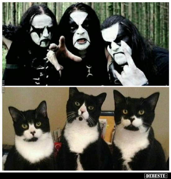  - Lustige Bilder | DEBESTE.de