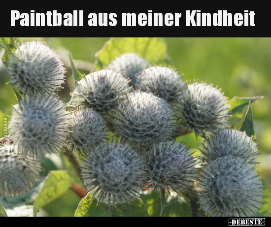 Paintball aus meiner Kindheit.. - Lustige Bilder | DEBESTE.de