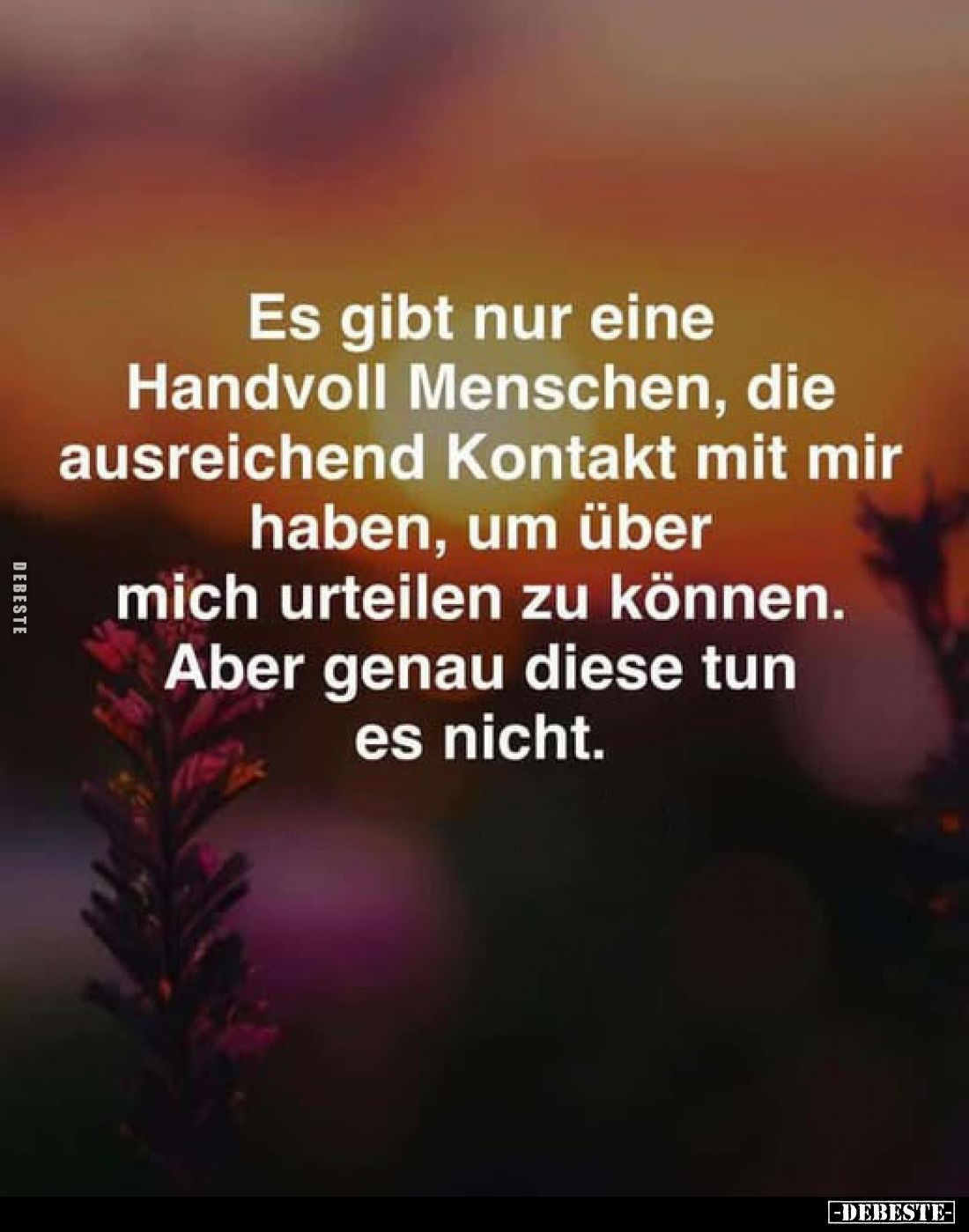 Es gibt nur eine Handvoll Menschen, die ausreichend Kontakt mit mir haben, um über mich urteilen zu können. Aber genau diese ...