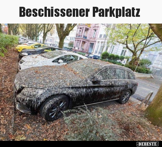 Beschissener Parkplatz.. - Lustige Bilder | DEBESTE.de
