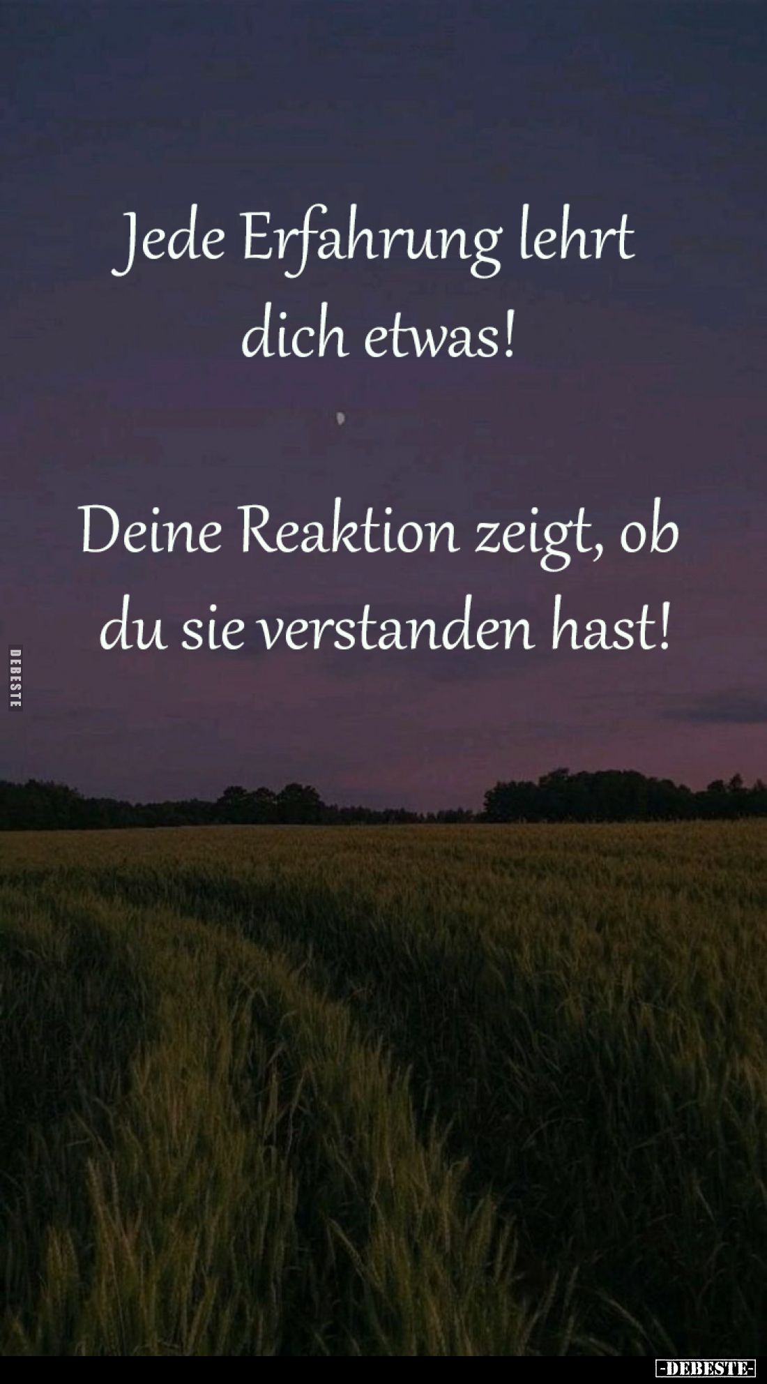 Jede Erfahrung lehrt 
dich etwas! 

Deine Reaktion zeigt, ob 
du sie verstanden hast!