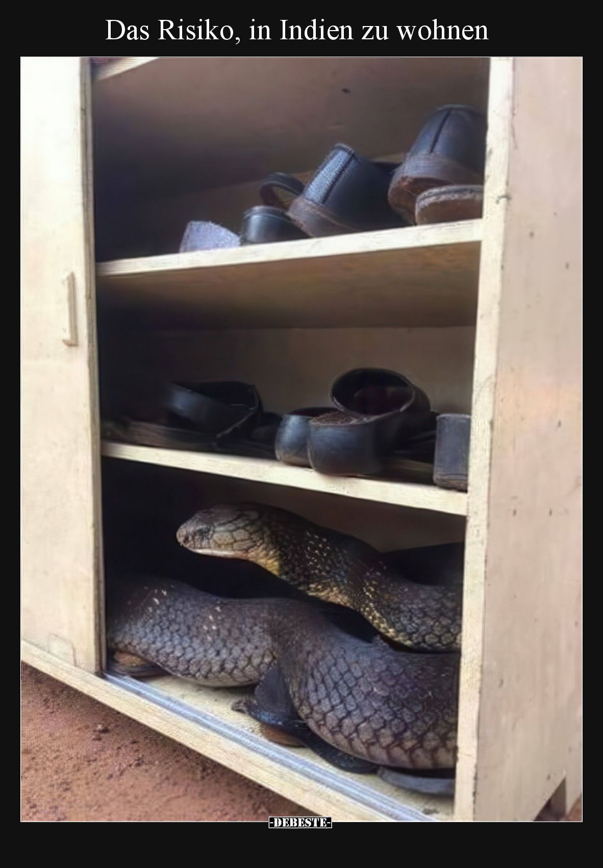 Das Risiko, in Indien zu wohnen