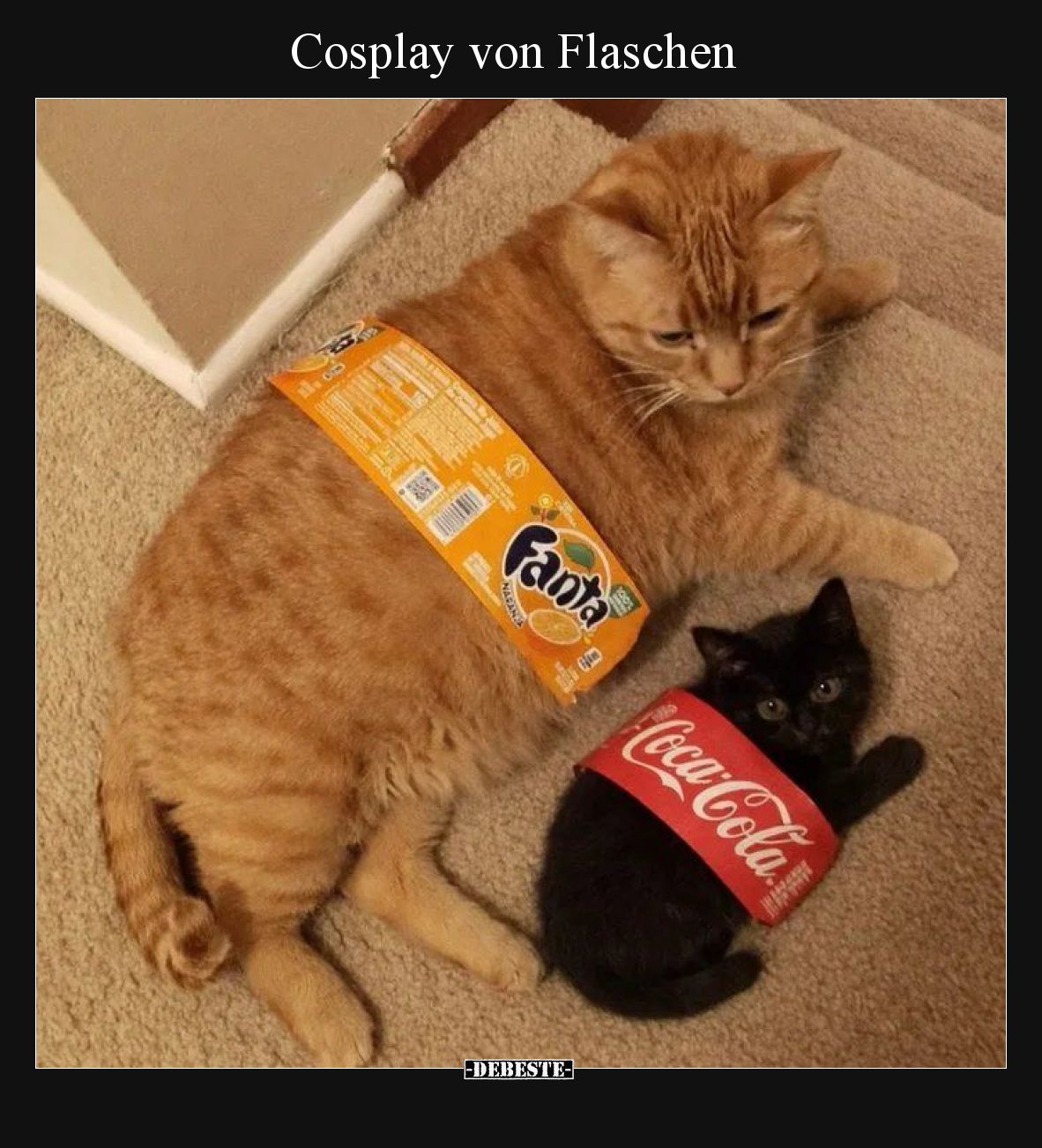 Cosplay von Flaschen.. - Lustige Bilder | DEBESTE.de