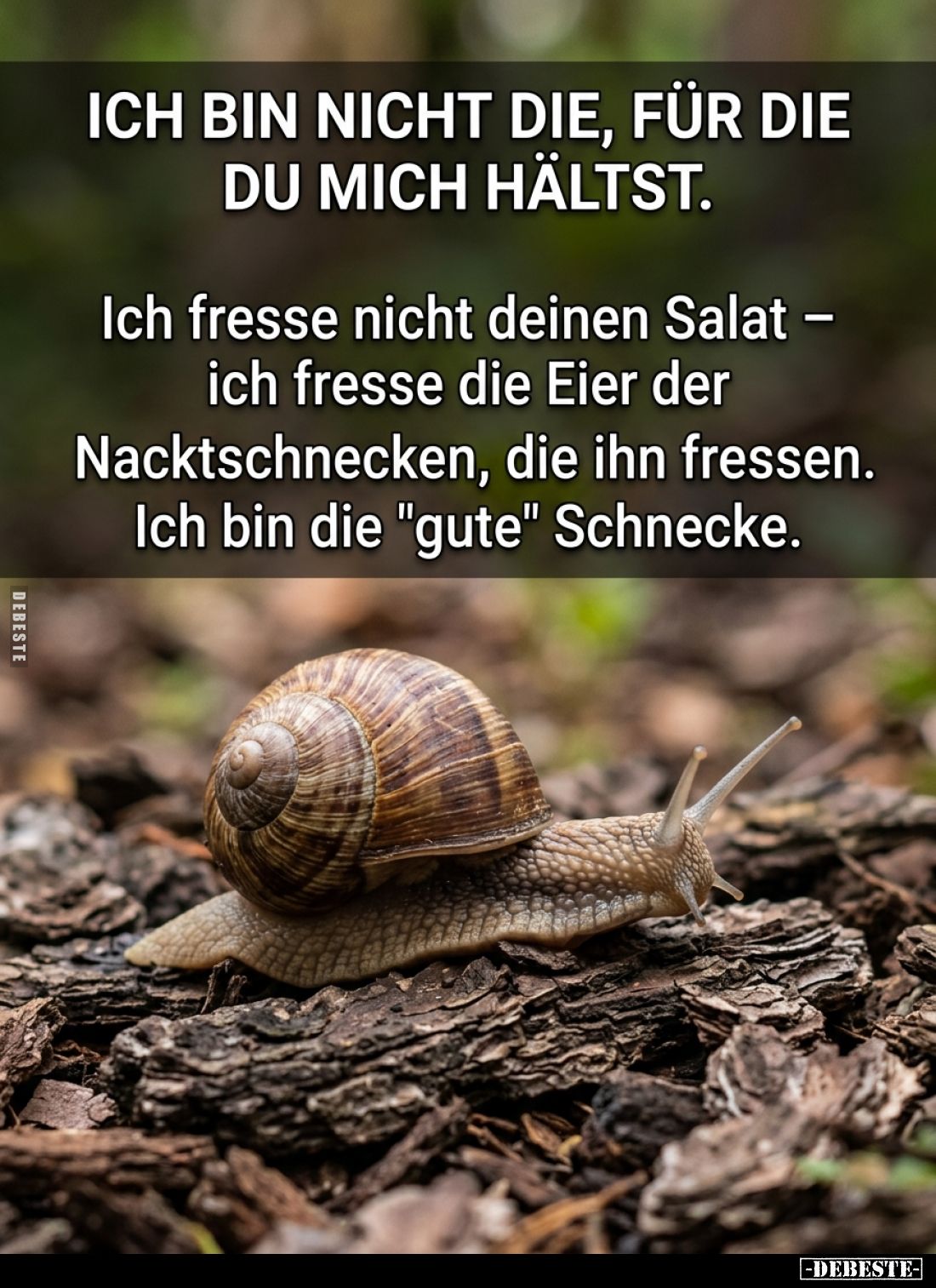 Ich bin nicht die, für die du mich hältst... - Lustige Bilder | DEBESTE.de