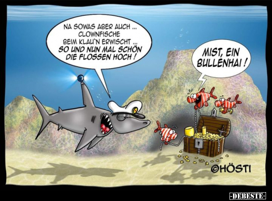 Na sowas aber auch... Clownfische beim Klauen erwischt... - Lustige Bilder | DEBESTE.de