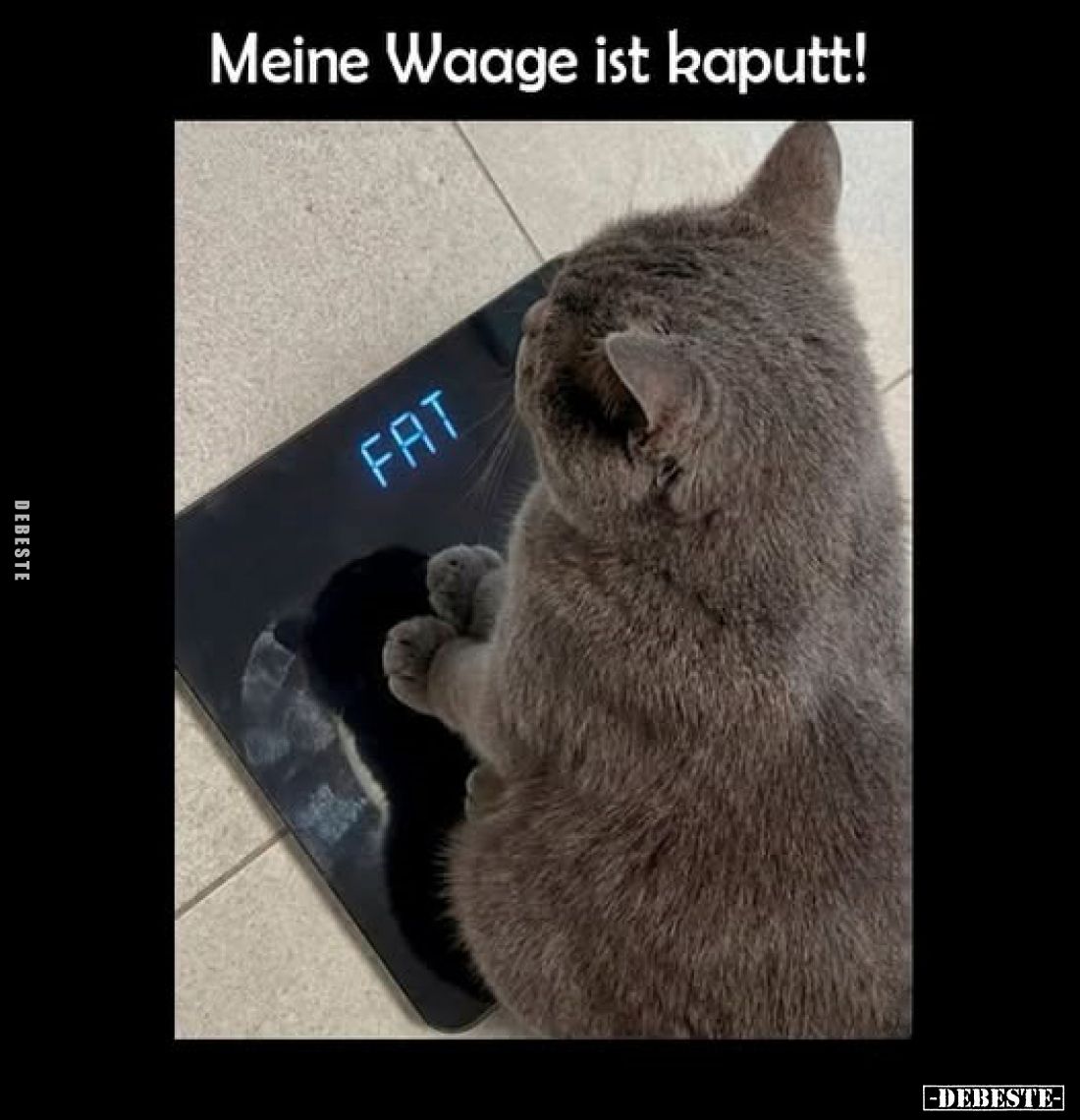 Meine Waage ist kaputt!