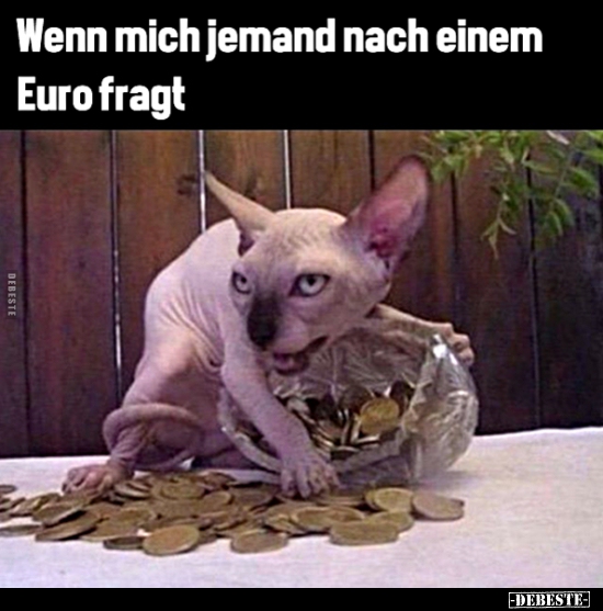 Wenn mich jemand nach einem Euro fragt..
