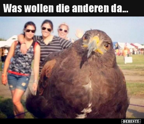 Was wollen die anderen da... - Lustige Bilder | DEBESTE.de