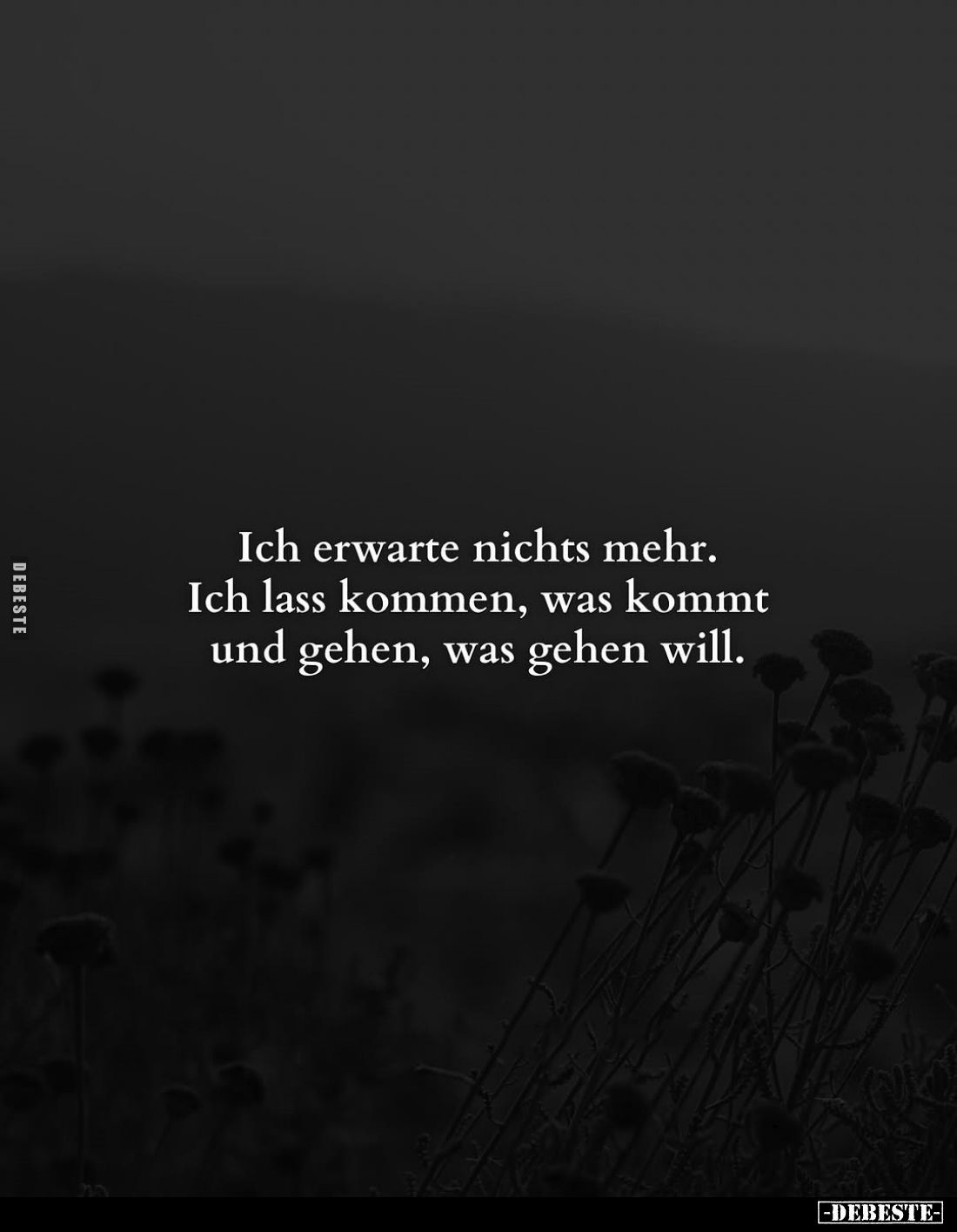 Ich erwarte nichts mehr.
Ich lass kommen, was kommt und gehen, was gehen will.