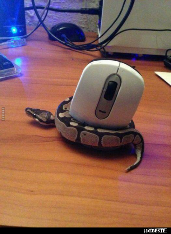  - Lustige Bilder | DEBESTE.de